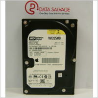 WesternDigital WD2500JS-40NGB2