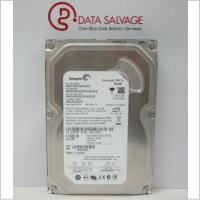 Seagate ST3160815AS