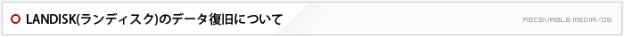 LANDISK(ランディスク)のデータ復旧について